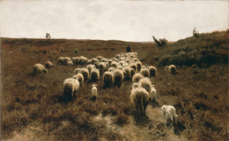 The Return of the Flock, Laren, 1887 - Anton Mauve - WikiArt.org