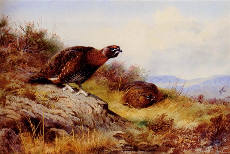 Red Grouse On The Moor, 1917 - Archibald Thorburn