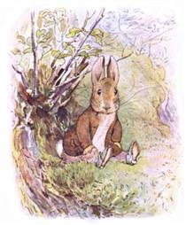 Benjamin Bunny - Beatrix Potter