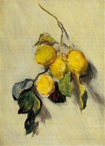 Branch of Lemons - Claude Monet