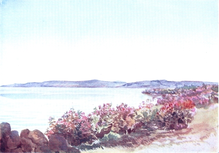 Galilee, looking from near the mouth of the Jordan towards the Mount of Beatitudes and Tabor - Elizabeth Thompson