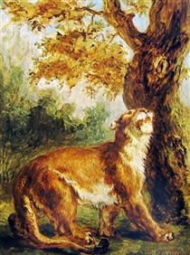 Puma (Lioness watching prey) - Eugène Delacroix