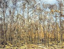The Beech Forest - Ferdinand Hodler