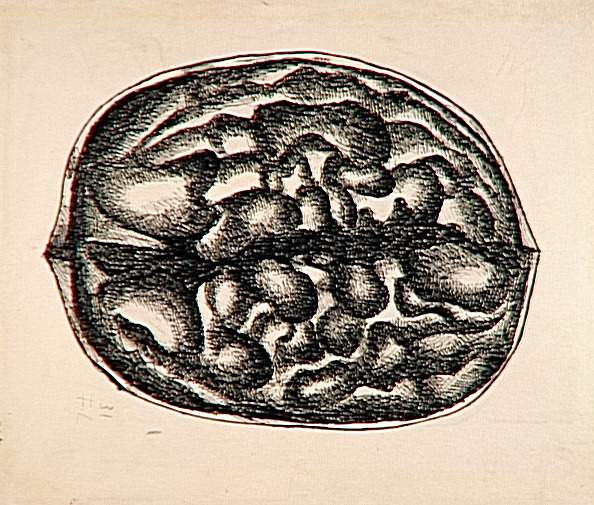 Study nuts, 1931 - Fernand Léger
