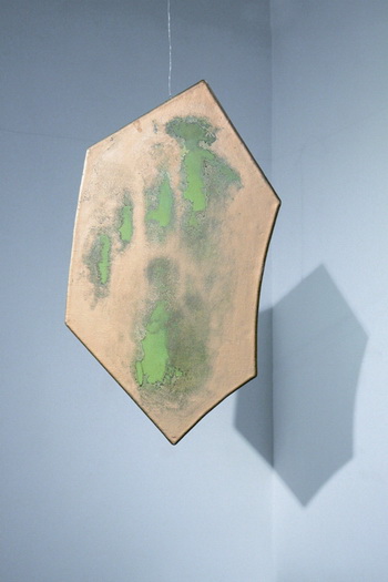 Hexagon Leaf, 1980 - Florin Maxa