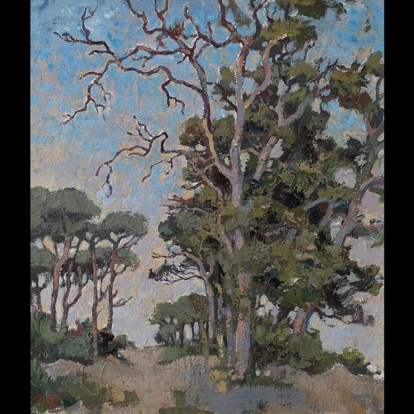 Study of bluegum trees, 1979 - Gregoire Boonzaier