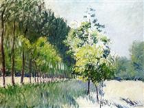 Orchard and avenue of trees - Gustave Caillebotte