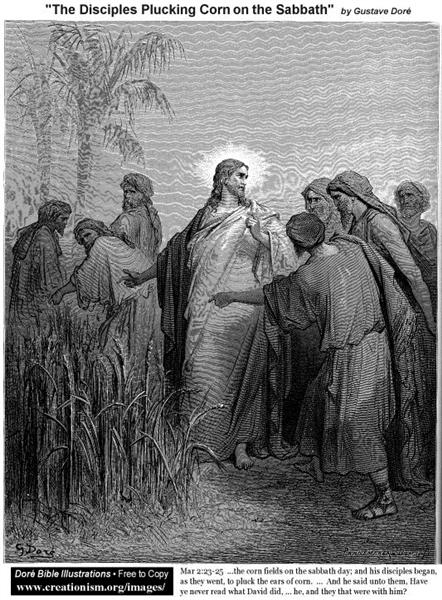 The Disciples Plucking Corn On The Sabbath - Гюстав Доре
