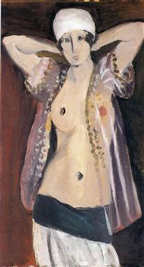 The Transparent Blouse - Henri Matisse