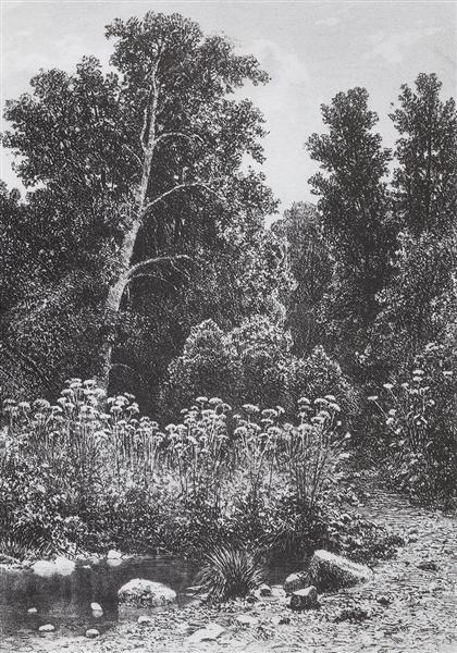Beira da Floresta, 1885 - Ivan Shishkin