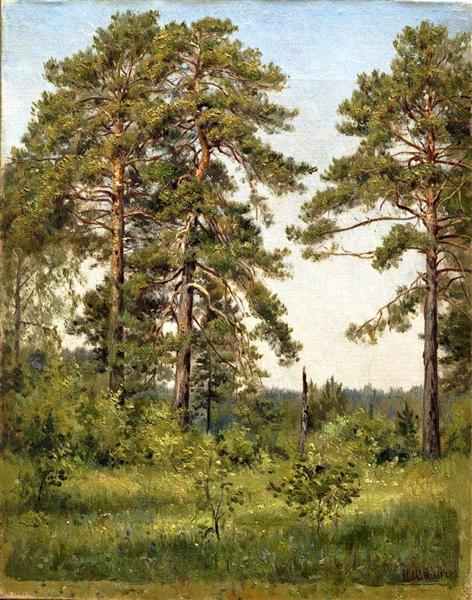 Edge of the pine forest - Iwan Iwanowitsch Schischkin