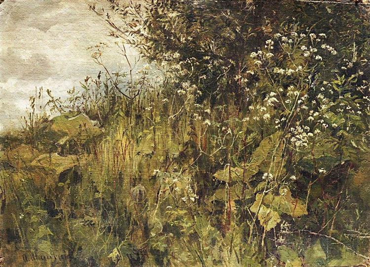 Goutweed-grass - Iwan Iwanowitsch Schischkin