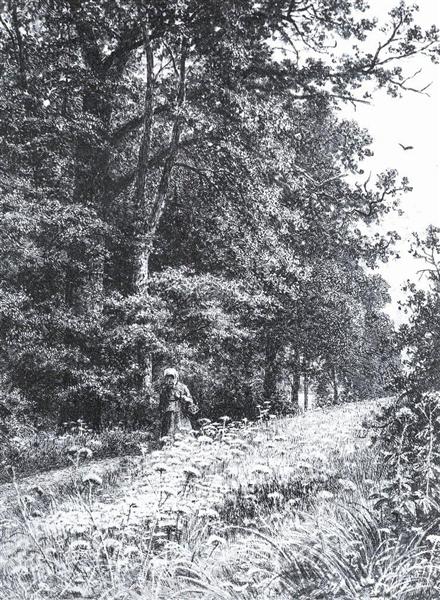 On the forest boundary line, 1878 - Iván Shishkin