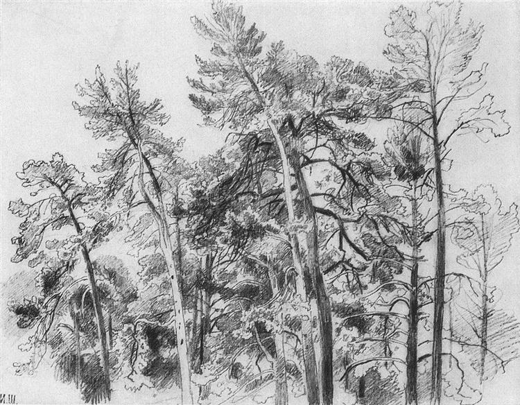 The tops of the pines - Iwan Iwanowitsch Schischkin