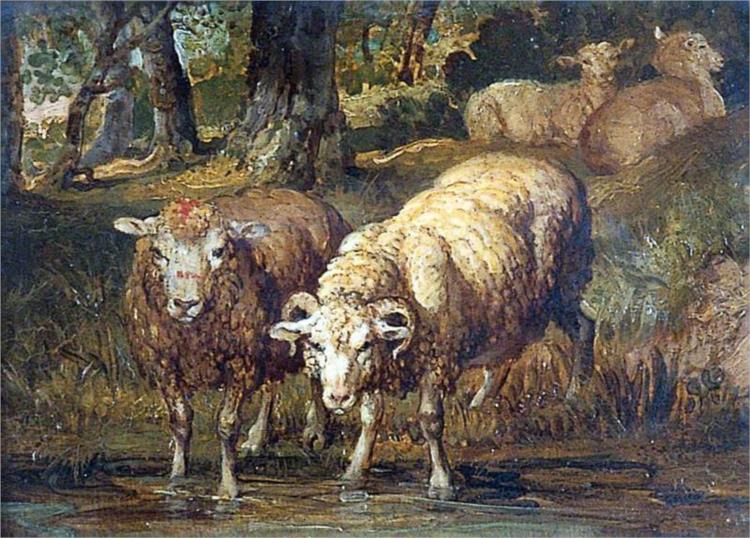 Sheep by a Stream - James Ward