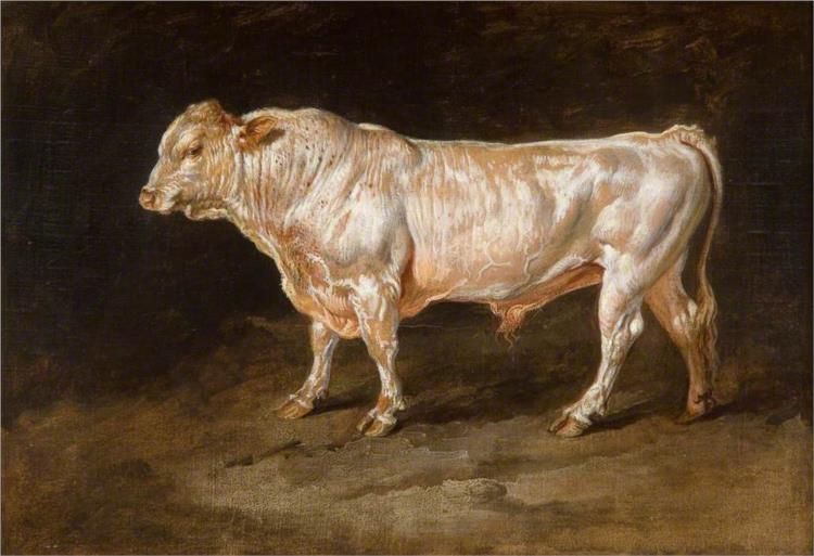 Study of a Prize Bull, 1815 - James Ward