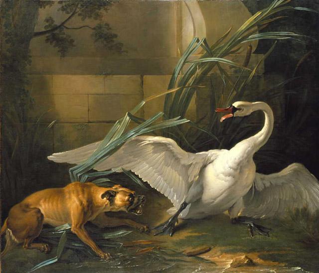 Swan Attacked by a Dog, 1745 - Жан-Батист Одри