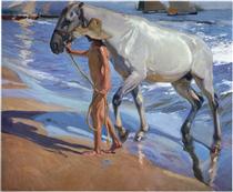 Washing the Horse - Joaquín Sorolla
