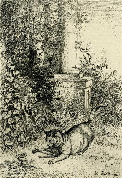 Cat playing with an adder, c.1873 - Карл Бодмер