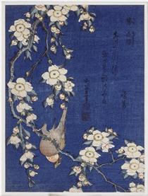 Bullfinch and weeping cherry blossoms - Katsushika Hokusai