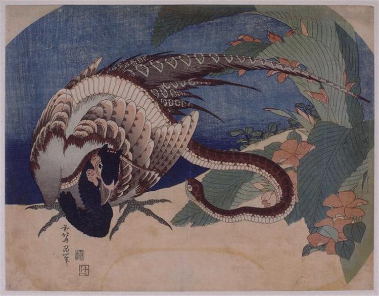 Pheasant and Snake, 1833 - Katsushika Hokusai