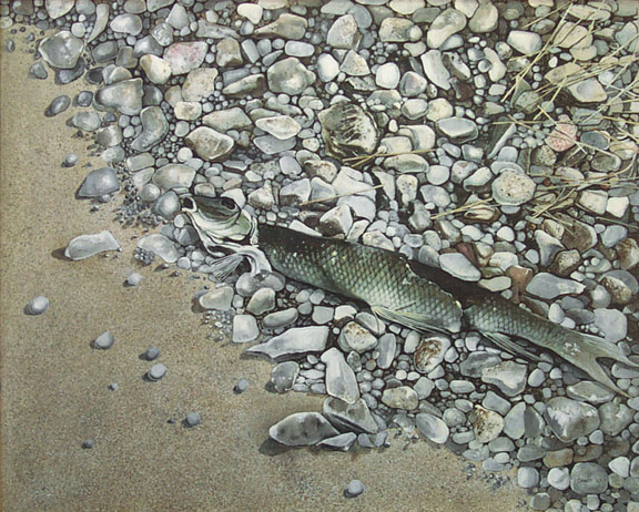 Fish and Rocks, 1963 - Ken Danby