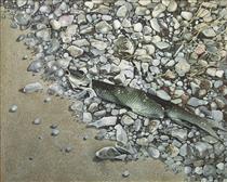 Fish and Rocks - Ken Danby