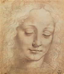 Female Head - Léonard de Vinci