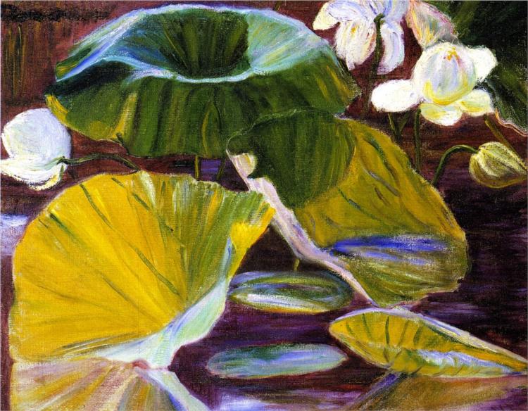 Lotus Flowers [Oya, Japan], 1900 - Lilla Cabot Perry