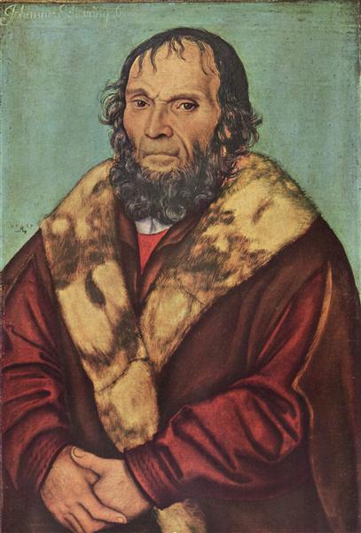 Portrait of Magdeburg Theologian Dr. Johannes Schöner, 1529 - 老盧卡斯·克拉納赫