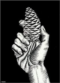Hand with Fir Cone - M.C. Escher