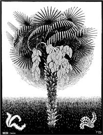 Palm Tree - M.C. Escher