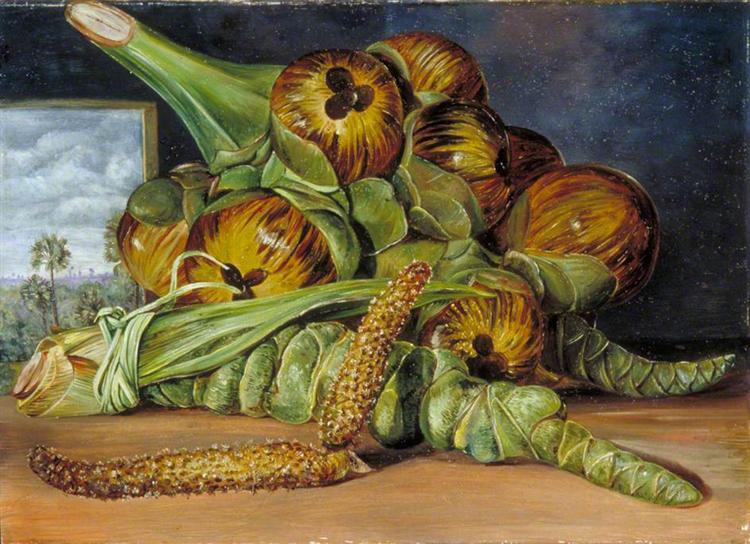 Flowers and Fruit of the Palmyra, and the Palm Seen through a Window, Java, 1870 - Marianne North