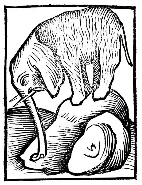 Elephant in Hortus sanitatis - Martin Schongauer