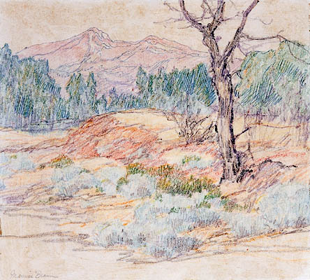 Landscape with Tree, 1910 - Maurice Braun