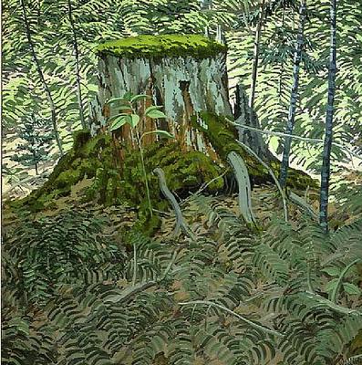 Stump and Ferns - Neil Welliver