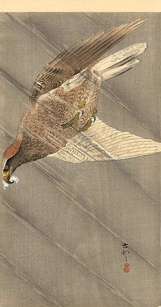 Eagle in descent, c.1905 - 小原古邨
