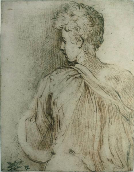 Young man seen from behind, face in profile, c.1520 - Parmigianino