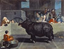 Rhinoceros in Venice - Pietro Longhi