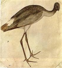 Stork - Pisanello