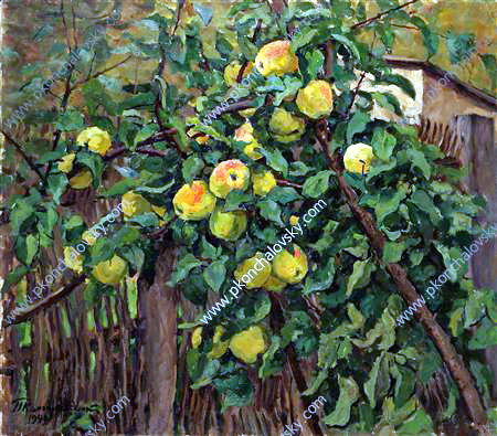 Apple tree by the fence, 1949 - Петро Кончаловський