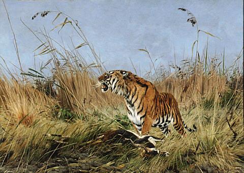 The Tiger, 1890 - Рихард Фризе