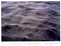 Untitled (from the series Still Water (The River Thames, for Example)) - Роні Хорн