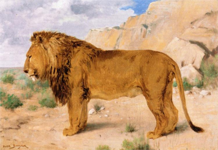 Study of a Lion - Rosa Bonheur