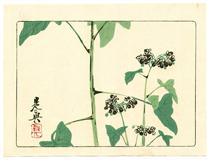 Flowering Plant - Hana Kurabe - Shibata Zeshin