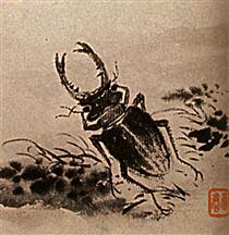 Studies of insects, beetles - Shi Tao