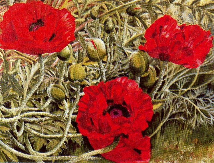 Poppies, 1938 - Stanley Spencer