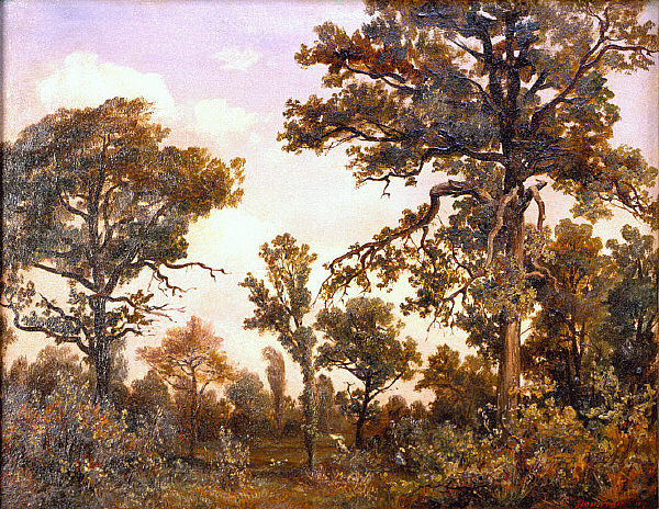 The Large Oak Tree, Forest of Fontainebleau, 1839 - Théodore Rousseau