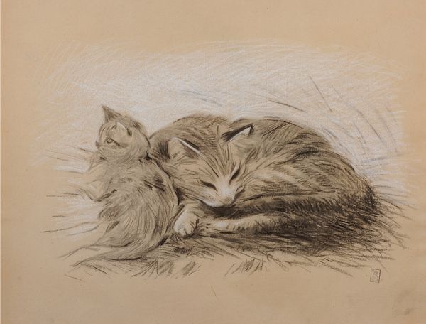 Two cats - Theophile Steinlen