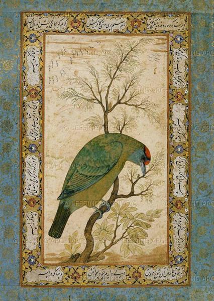 A Barbet (Himalayan blue-throated bird), 1615 - Ustad Mansur